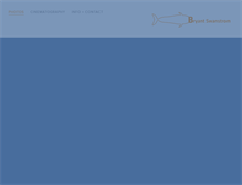 Tablet Screenshot of bryantswanstrom.com